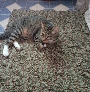 Meet your Posher, Christine